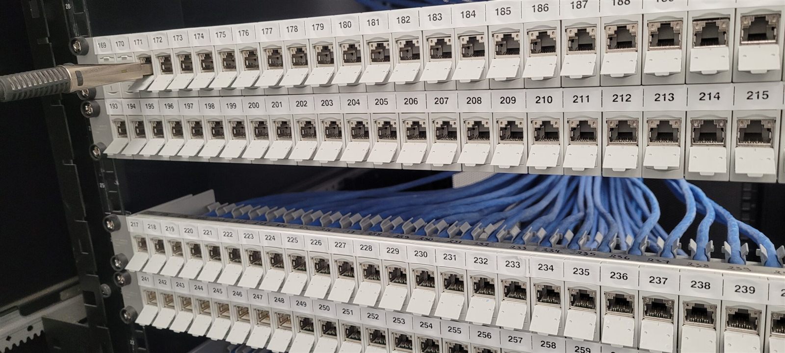 Panele krosowe kat. 6A z kablami krosowymi w szafie rack – Sokołów S.A., Robakowo